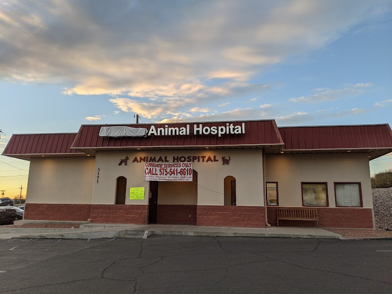Animal Hospital of Las Cruces - A Thrive Pet Healthcare Partner
