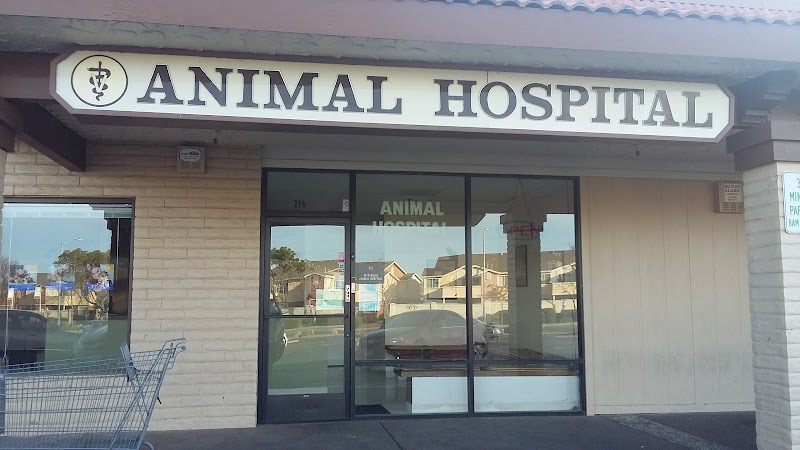 Animal Hospital of Pittsburg