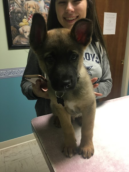 Community Animal Hospital