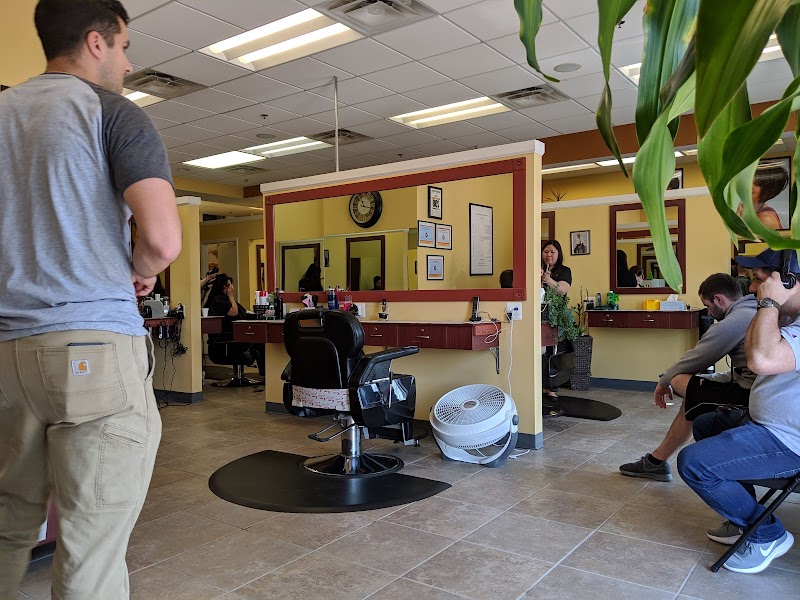 Mens Haircut in Alexandria VA