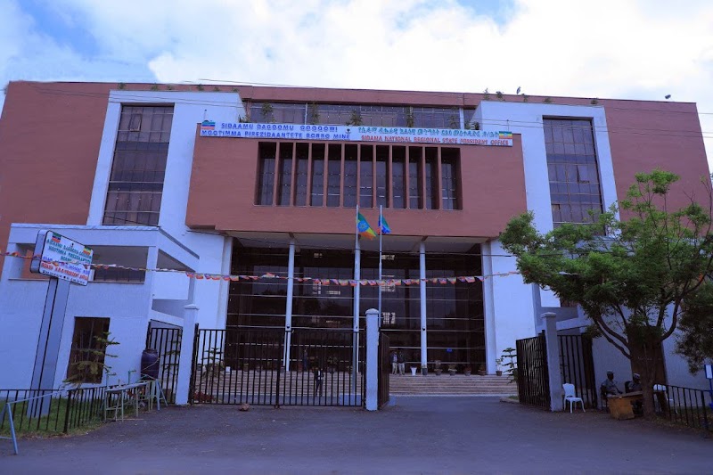 The President's Office in Ethiopia